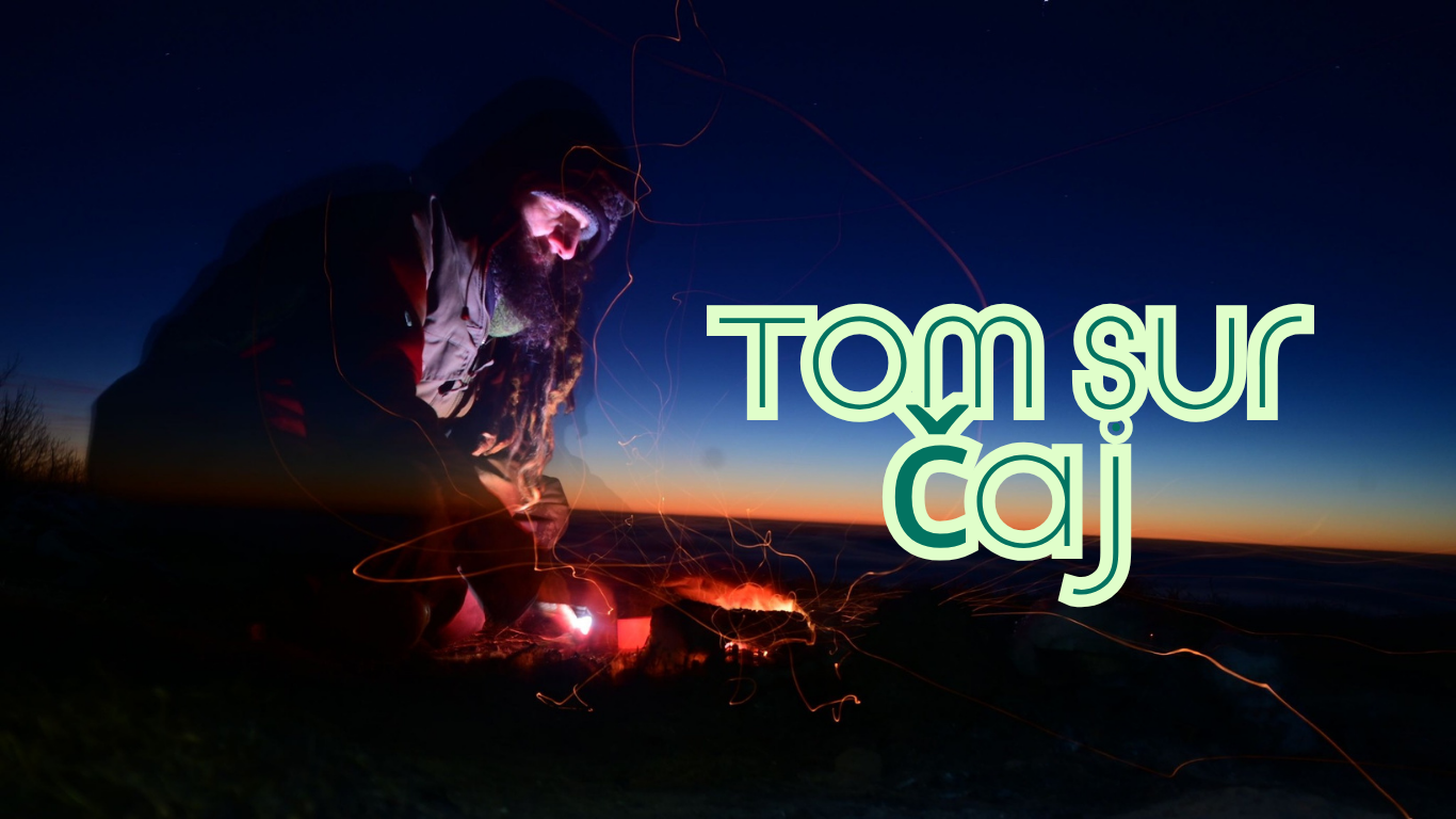 FRT frekvenční a resonanční terapie (2)